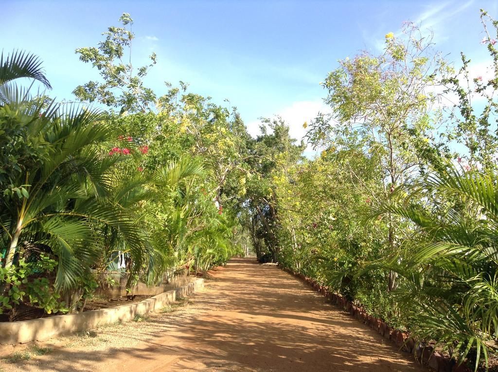 Lagoon Inn Hambantota Bagian luar foto