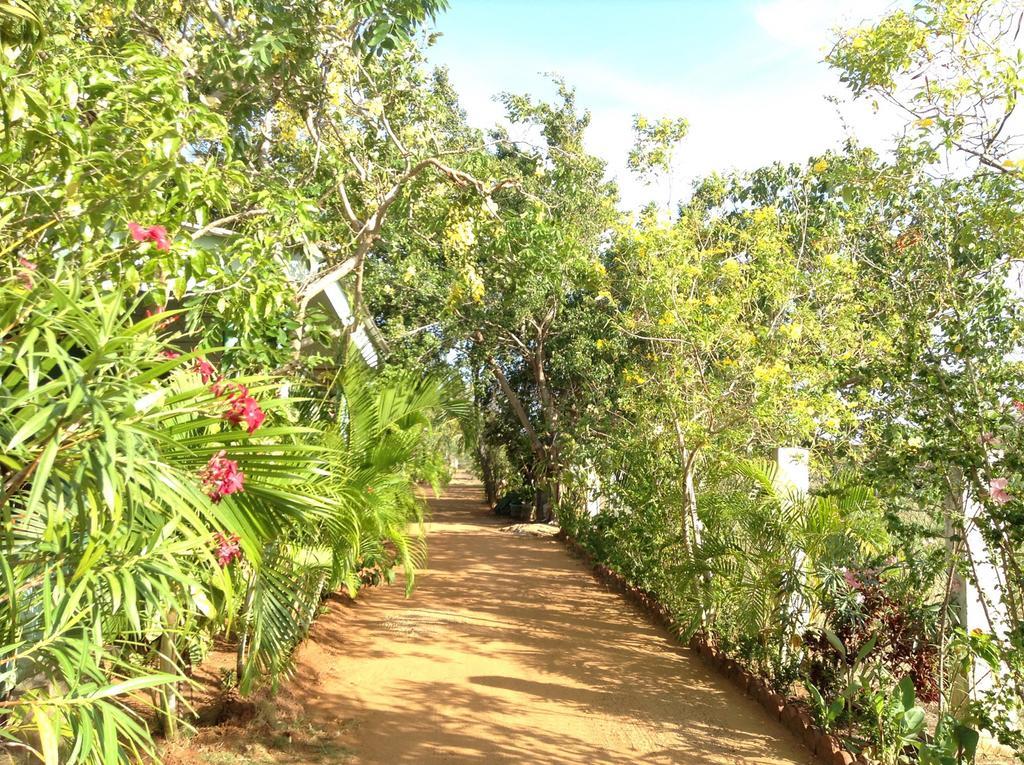 Lagoon Inn Hambantota Bagian luar foto
