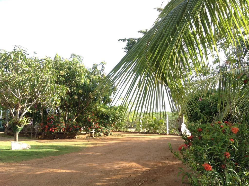 Lagoon Inn Hambantota Bagian luar foto