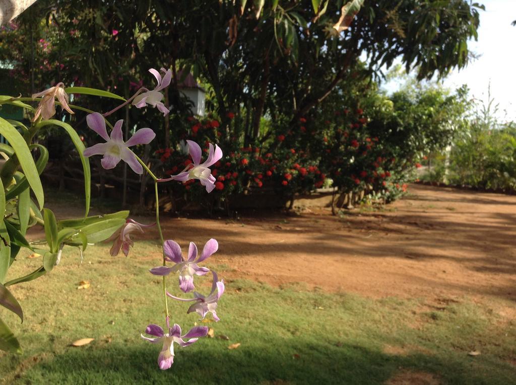 Lagoon Inn Hambantota Bagian luar foto